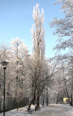 2007-12-22